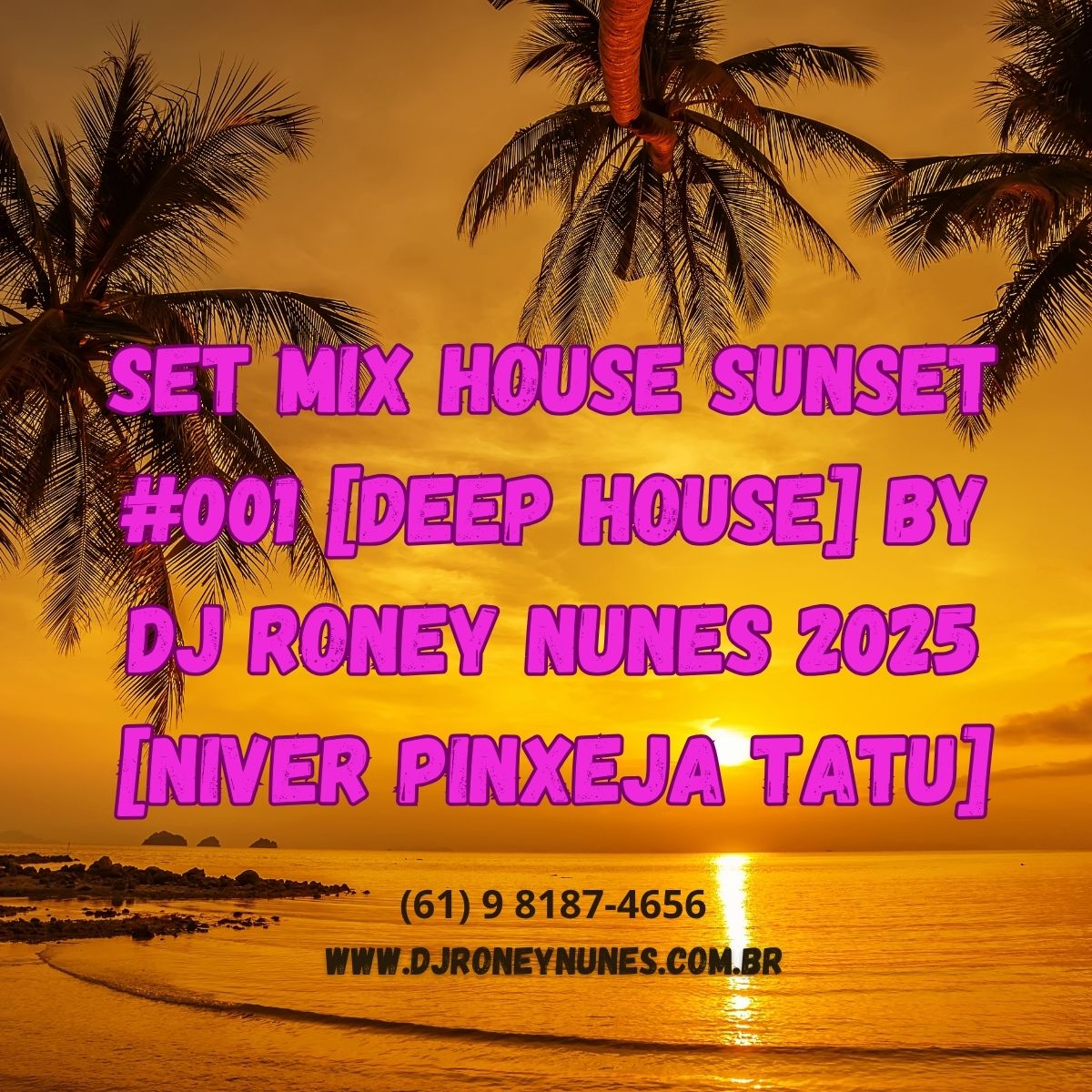 Set Mix House Sunset #001 [Deep House] By Dj Roney Nunes 2025 [Niver Pinxeja Tatu] [128kv]